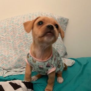 Meet your Posher, Britny